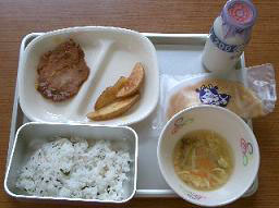 An example of school lunch with rice