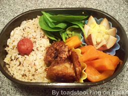 An example of a homemade "bento", or lunchbox